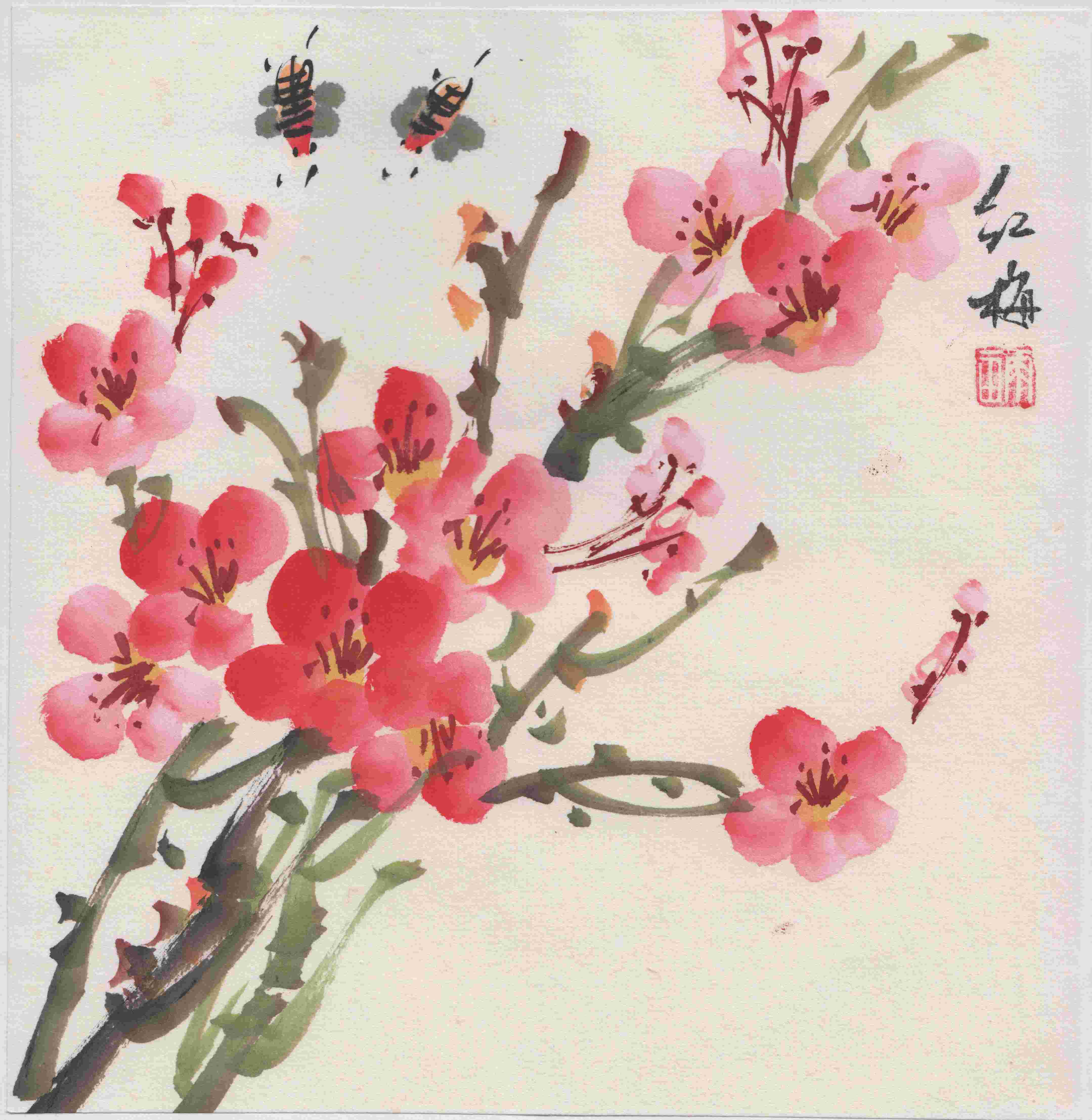 Winter Winter flowers